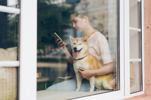 Separation Anxiety: Positive Reinforcement Techniques