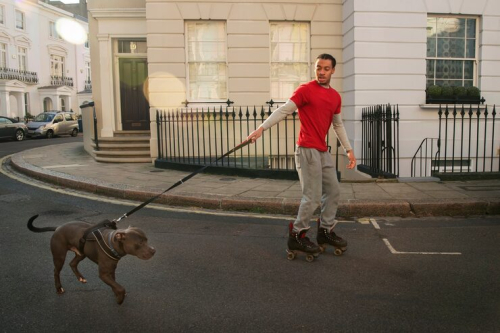 Leash Training & Urban Manners for City Dogs Guide