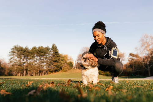 Dog Training in 2026: Trust and Joyful Learning Guide