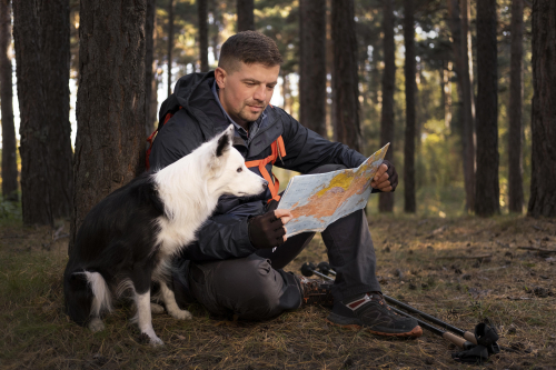 Dog Trainers Stress Consistency in Positive Training Methods