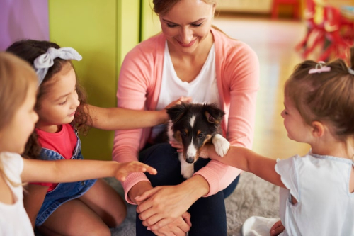 Puppy Preschool to Adult Skills: A Dog Training Guide