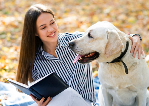 Positive Reinforcement: The Key to Humane Dog Training