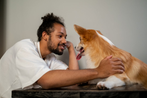 Positive Reinforcement Effects on Behavior, Explained