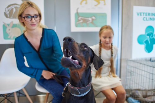 Science-Backed Dog Training Endorsed by Pro Trainers