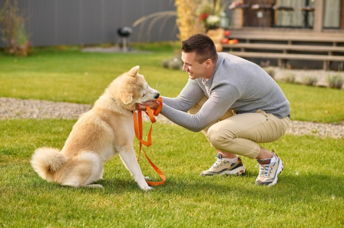 Why Puppy Training Matters in First Few Months