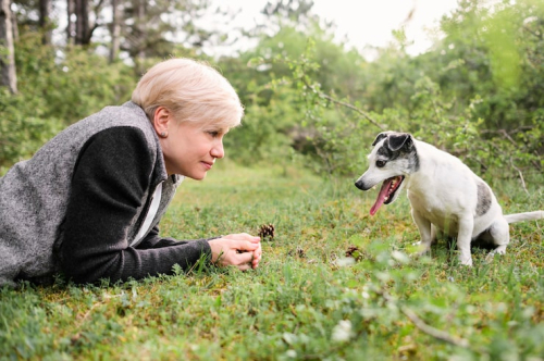 Best Age to Start Puppy Training | Expert Guide