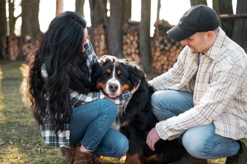 Puppy Socialization: Build a Confident Dog