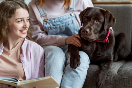 Why Small Group Puppy Classes Help New Dog Owners
