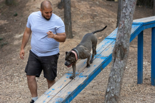 Why Puppies Bite, Nip & Jump During Training