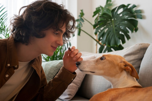 How to Teach a Puppy Calm Behavior Around People