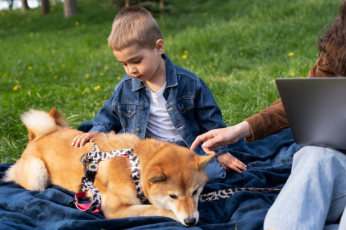 What Is Puppy Kindergarten for Dogs?