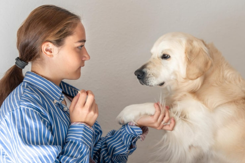 How to Understand Puppy Body Language