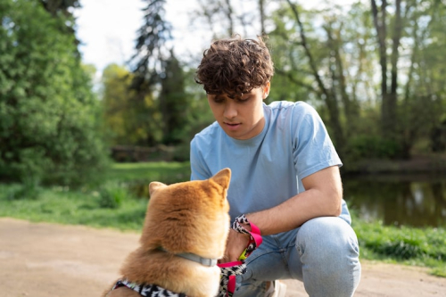 What Is Adolescent Dog Training? Guide for Dog Owners