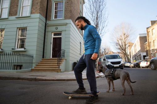 Why Dogs Bark and Lunge on Walks Explained