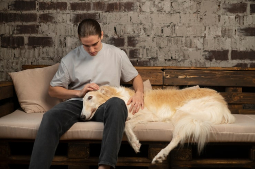 How to Help a Dog Stay Calm Around Triggers