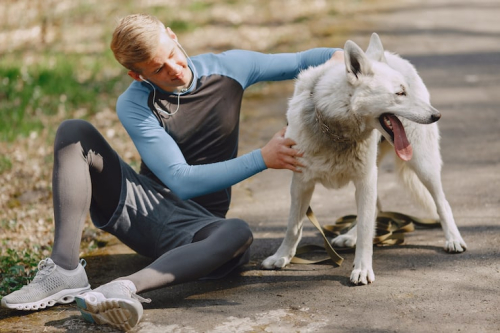 Why Dogs Need Mental Exercise Too