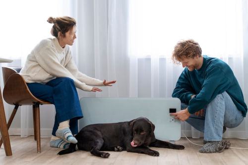 Recall Training: Help Dogs Listen Around Distractions