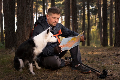 What Is CPDT-KA Certification in Dog Training?