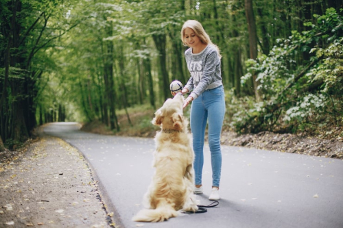 How to Build Better Walks With Your Dog