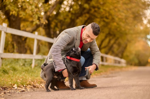 Why Dogs Struggle With Impulse Control
