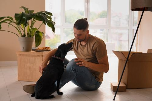 How to Help a Dog Settle at Home