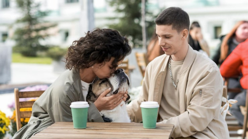 Why Puppy Social Hours Help Young Dogs Learn