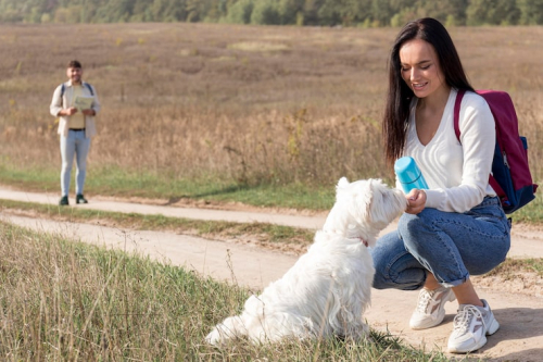 How to Prepare Your Puppy for the Outside World