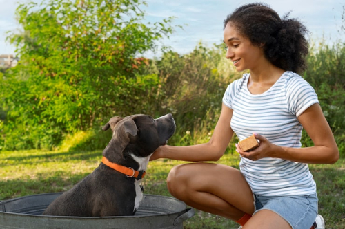 Why Positive Training Works for Dogs