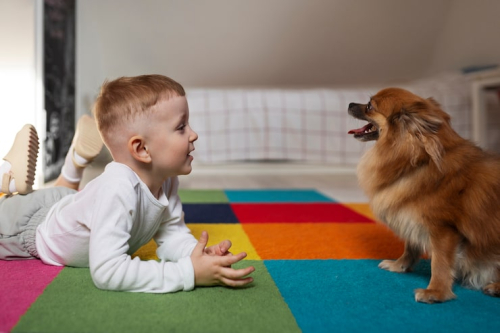 Puppy Preschool vs Kindergarten: Which Fits Your Dog?