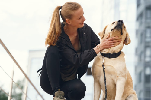 How to Choose a Positive Reinforcement Dog Trainer