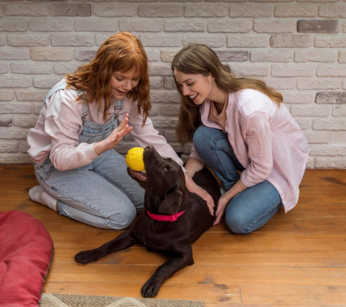 How Small Group Puppy Classes Improve Focus