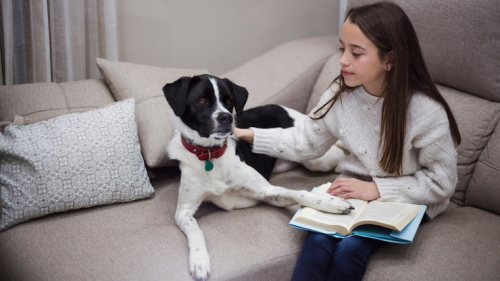 What to Expect in a 4-Week Puppy Training Course