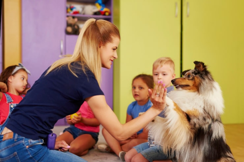 PrimePaw Puppy Preschool for Early Training