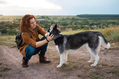 PrimePaw Level 2 Advanced Dog Training Class