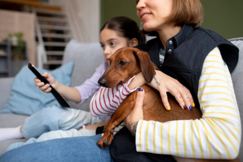 PrimePaw Puppy Socials for Safe Socialization
