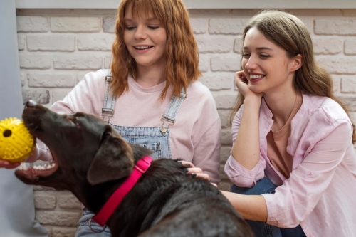 PrimePaw Doggy Daycare & Training Support