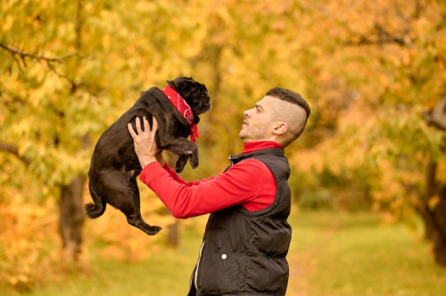 Start Positive Reinforcement Dog Training PrimePaw